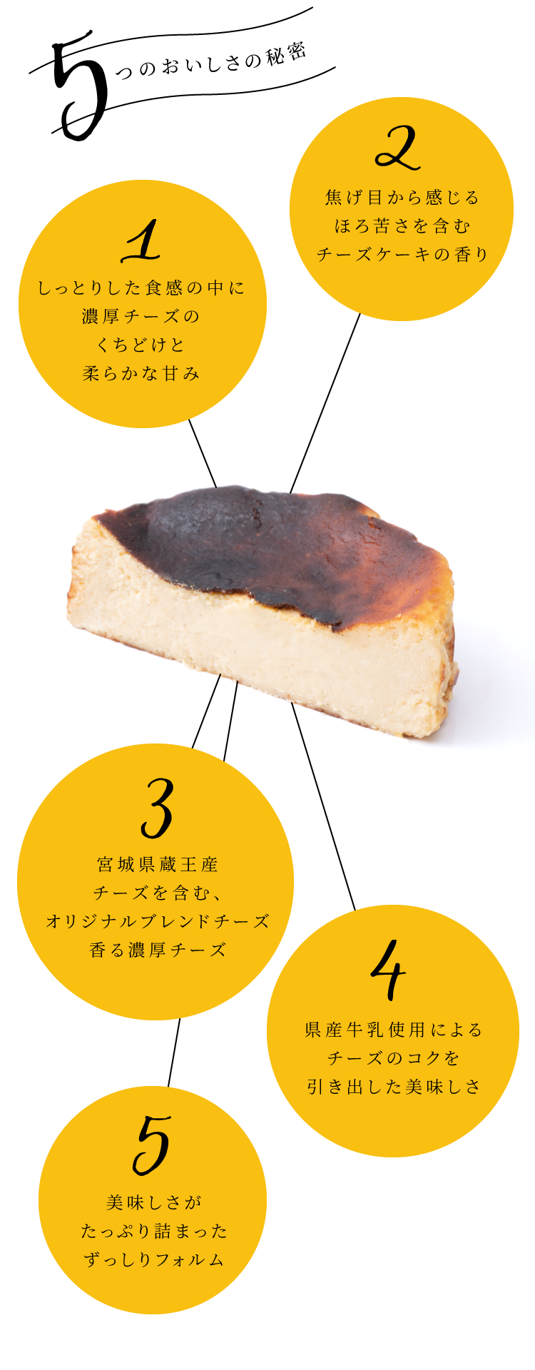 チーズとmarumaru 仙台チーズスイーツ専門店